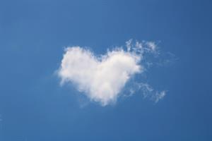 Photo 744726
